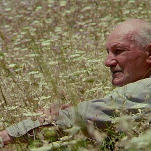 Bilder Geheimnisse der Neandertaler