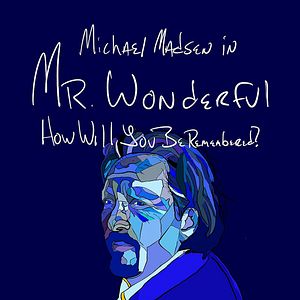 Bilder Mr. Wonderful