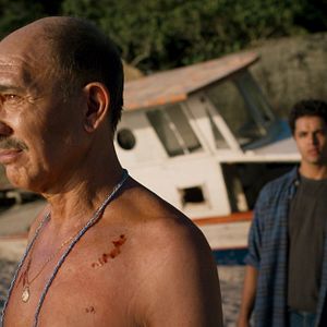 Bilder A Wolf Among The Swans