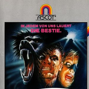 Bilder Animal Rage