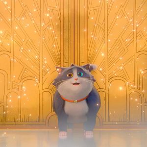 Bilder Alles für die Katz