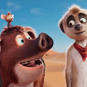 Bilder Tafiti - Ab durch die Wüste