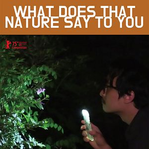 Bilder  What Does That Nature Say To You 