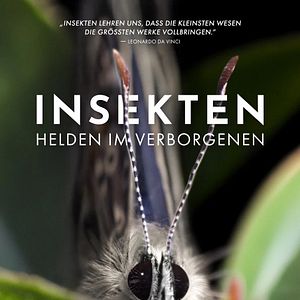 Bilder Insekten - Helden im Verborgenen