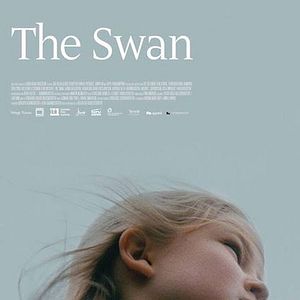 Bilder The Swan