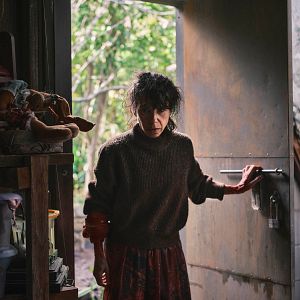 Bilder Sally Hawkins