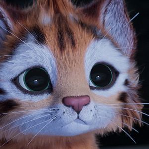 Bilder Heidi - Die Legende vom Luchs