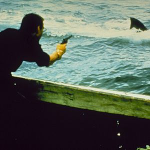 Bilder Der weiße Hai