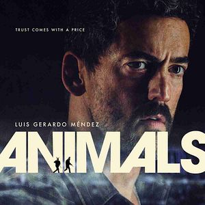 Bilder Animals