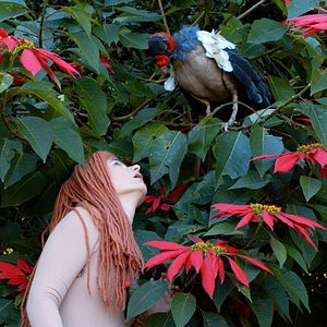 Bilder Die Tagebücher von Adam und Eva