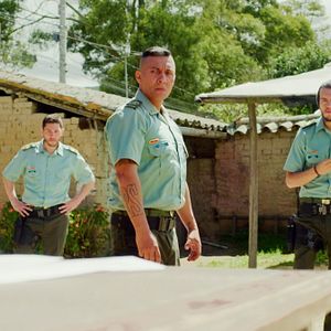 Bilder Dominique - Rise Of The Phoenix