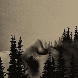 Bilder To Kill a Wolf