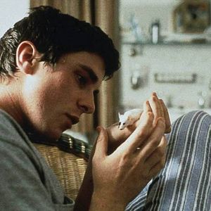 Bilder All The Little Animals