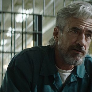 Bilder Dermot Mulroney