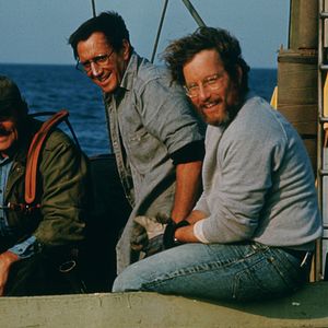 Bilder Der weiße Hai