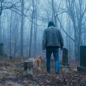 Bilder Good Boy - Trust His Instincts