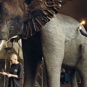 Bilder Archiv der Zukunft