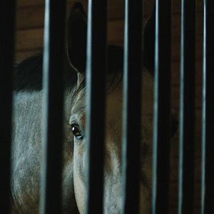 Bilder Untold: The Shooting At Hawthorne Hill