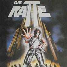 Bilder Die Ratte