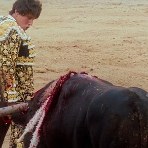 Bilder Tardes De Soledad - Nachmittage der Einsamkeit