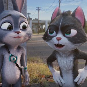 Bilder Der schlaue Hase Momo – Die große Verfolgung