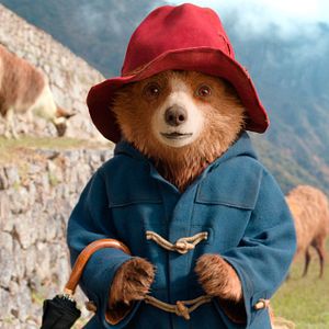 Bilder Paddington in Peru