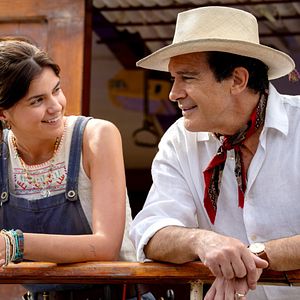 Bilder Paddington in Peru