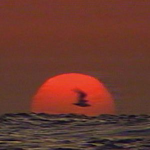 Bilder Israel Palestina i svensk tv 1958-1989