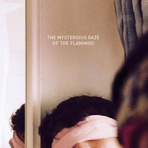 Bilder Der geheimnisvolle Blick des Flamingos