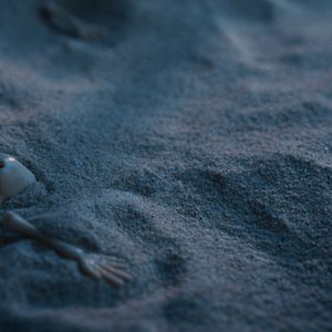 Bilder Eine Million Sandkörnchen 