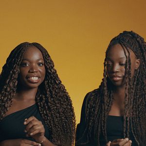 Bilder Noch lange keine Lipizzaner