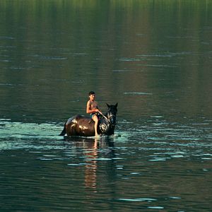 Bilder Silent Flood