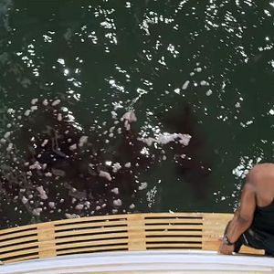 Bilder Great White Waters