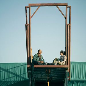 Bilder Black Dog - Weggefährten