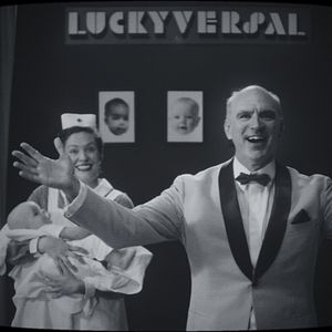 Bilder Noch lange keine Lipizzaner