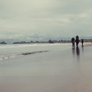 Bilder Planet der Affen 4: New Kingdom