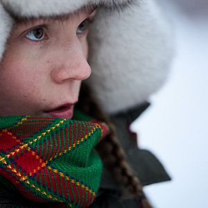 Bilder Das Leuchten der Rentiere