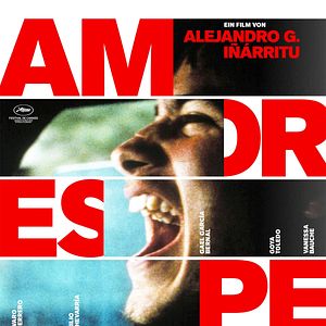 Bilder Amores Perros