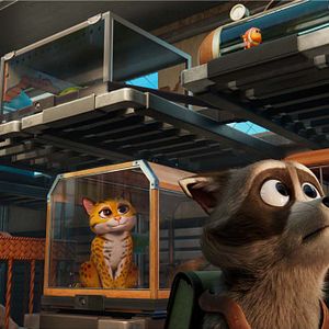 Bilder Tierisch abgefahren - Rettet die Pets!