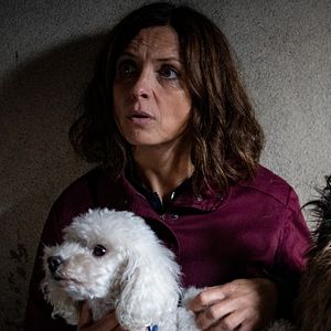 Bilder Nord Nord Mord: Sievers und der verlorene Hund