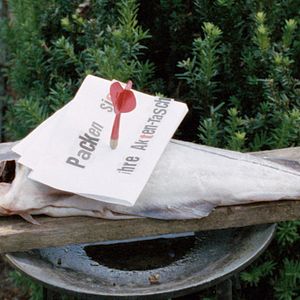 Bilder Schweinesand - Eine Insel voller Geheimnisse