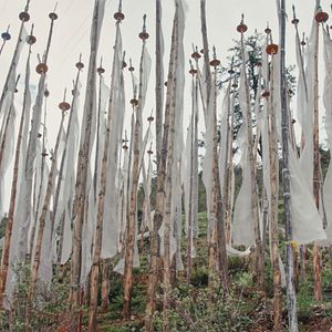 Bilder Agent Of Happiness - Unterwegs im Auftrag des Glücks