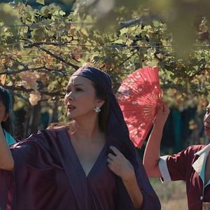 Bilder Geheimnisse eines Dienstmädchens