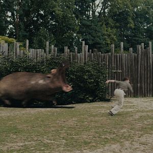 Bilder Hippo's Revenge - Drei Tonnen Zorn