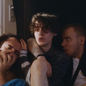 Bilder Adrian Vasile But