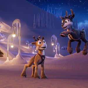 Bilder Niko - Reise zu den Polarlichtern