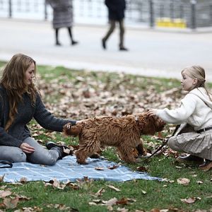 Bilder Sebastian Fitzeks Der Heimweg