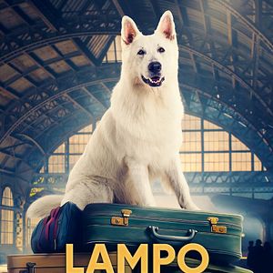 Bilder Lampo - Ein Vierbeiner auf Reisen