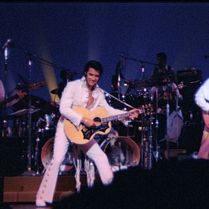 Bilder EPiC: Elvis Presley in Concert