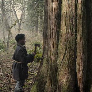 Bilder Percy Daggs IV